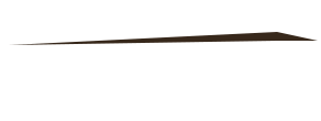 Banner alt